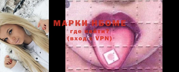 стафф Алексин