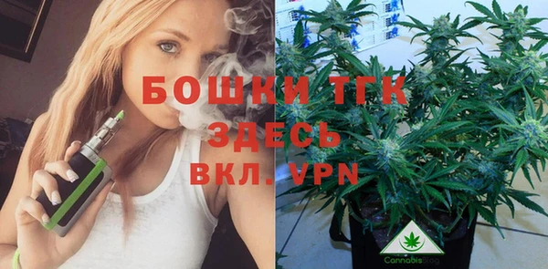 прущий лед Осташков